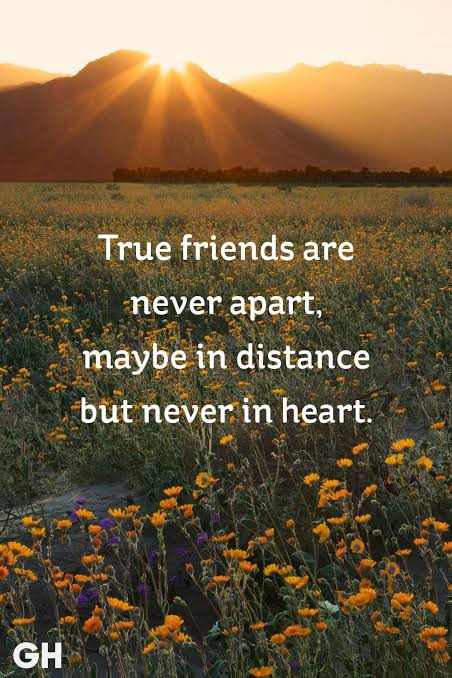 good morning friends.